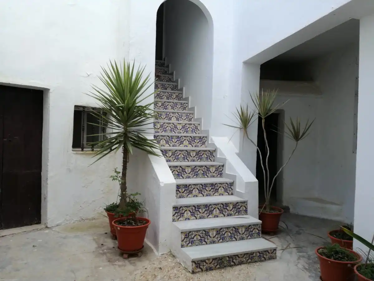 Casa rústica amb terrassa en venda a Vejer, imagen 40
