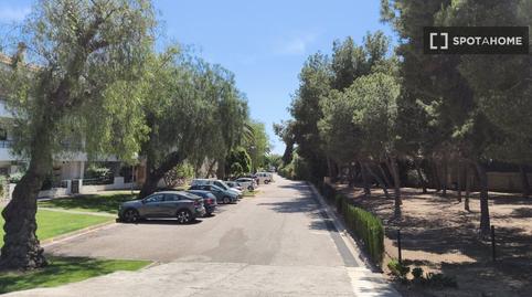 Photo 5 of Apartment to share in Alfinach - Los Monasterios, Valencia