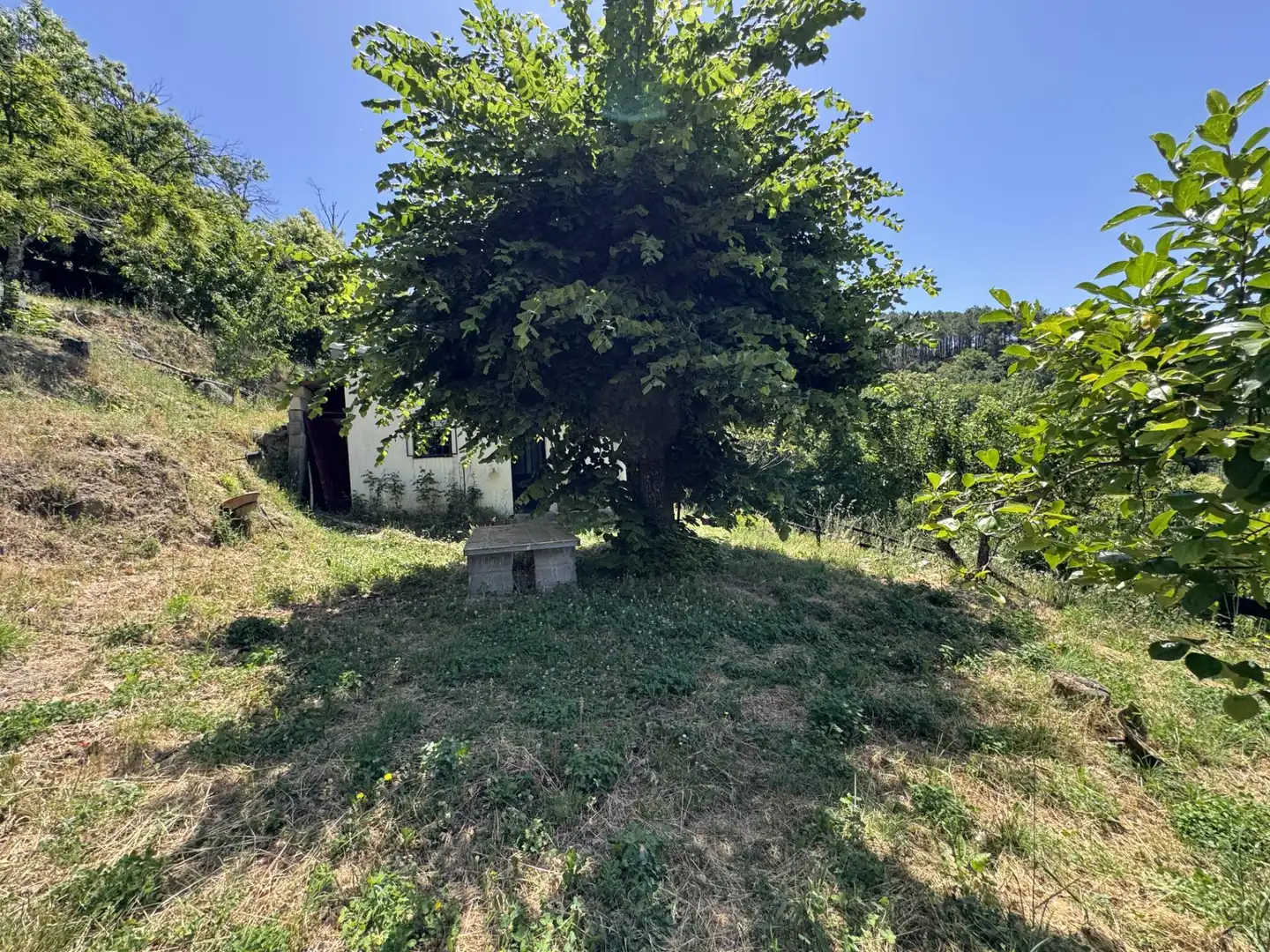 Finca rústica en venta en El Arenal  con Jardín privado