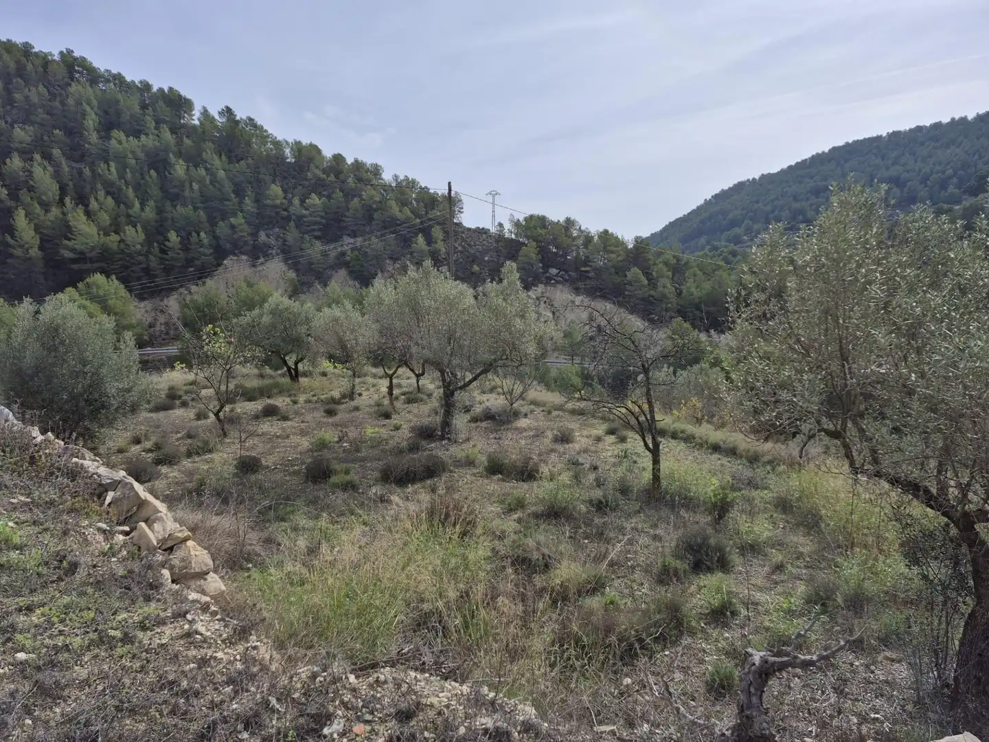 Maison rustique à vendre à Relleu, imagen 30