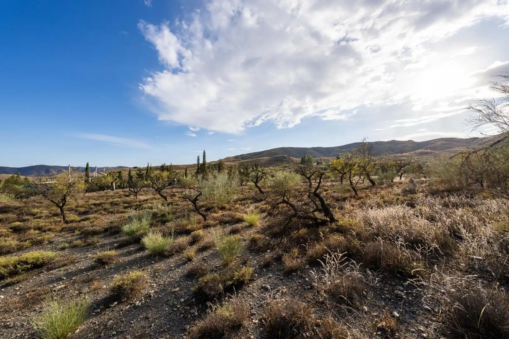 Rural land for sale in de Velefique a Senés 0, imagen 6