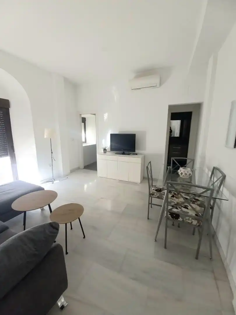 Apartment with terrace to rent in Centro, imagen 2