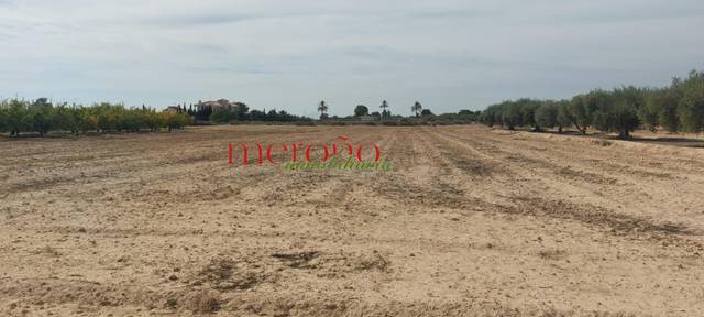 Terreno residencial en Venta en Centro