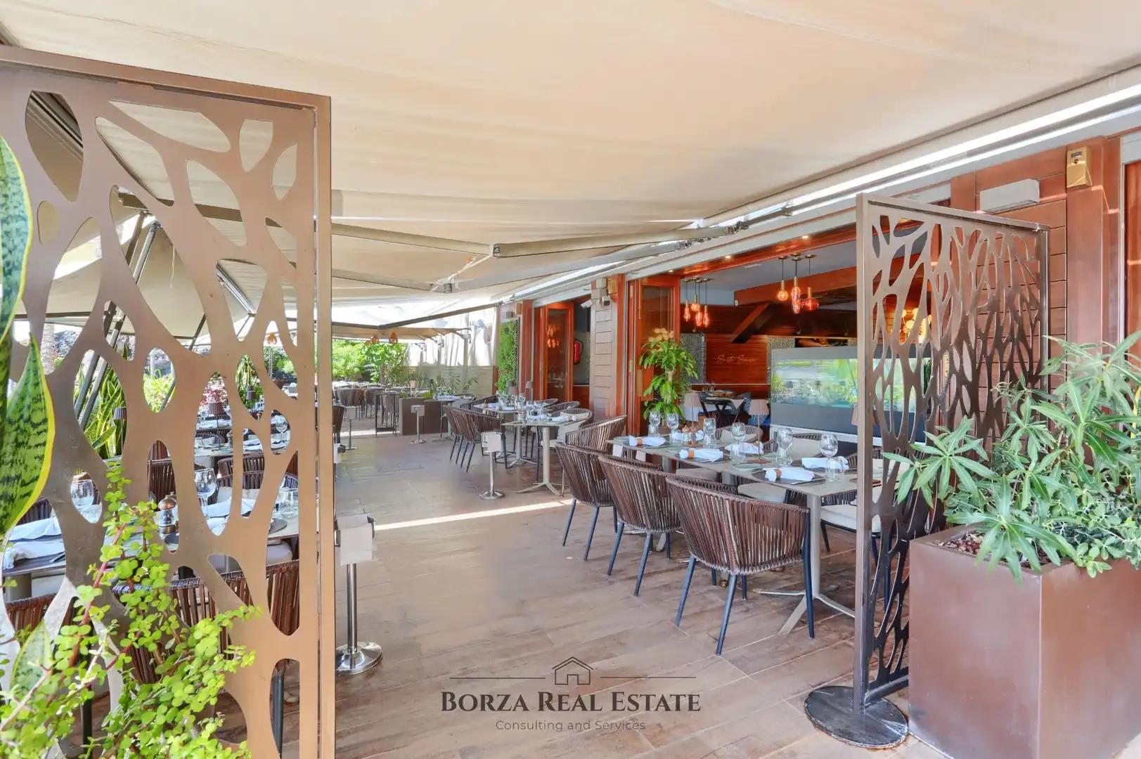 Local commercial à louer à Paseo Marítimo Playa San Juan s/n, imagen 29