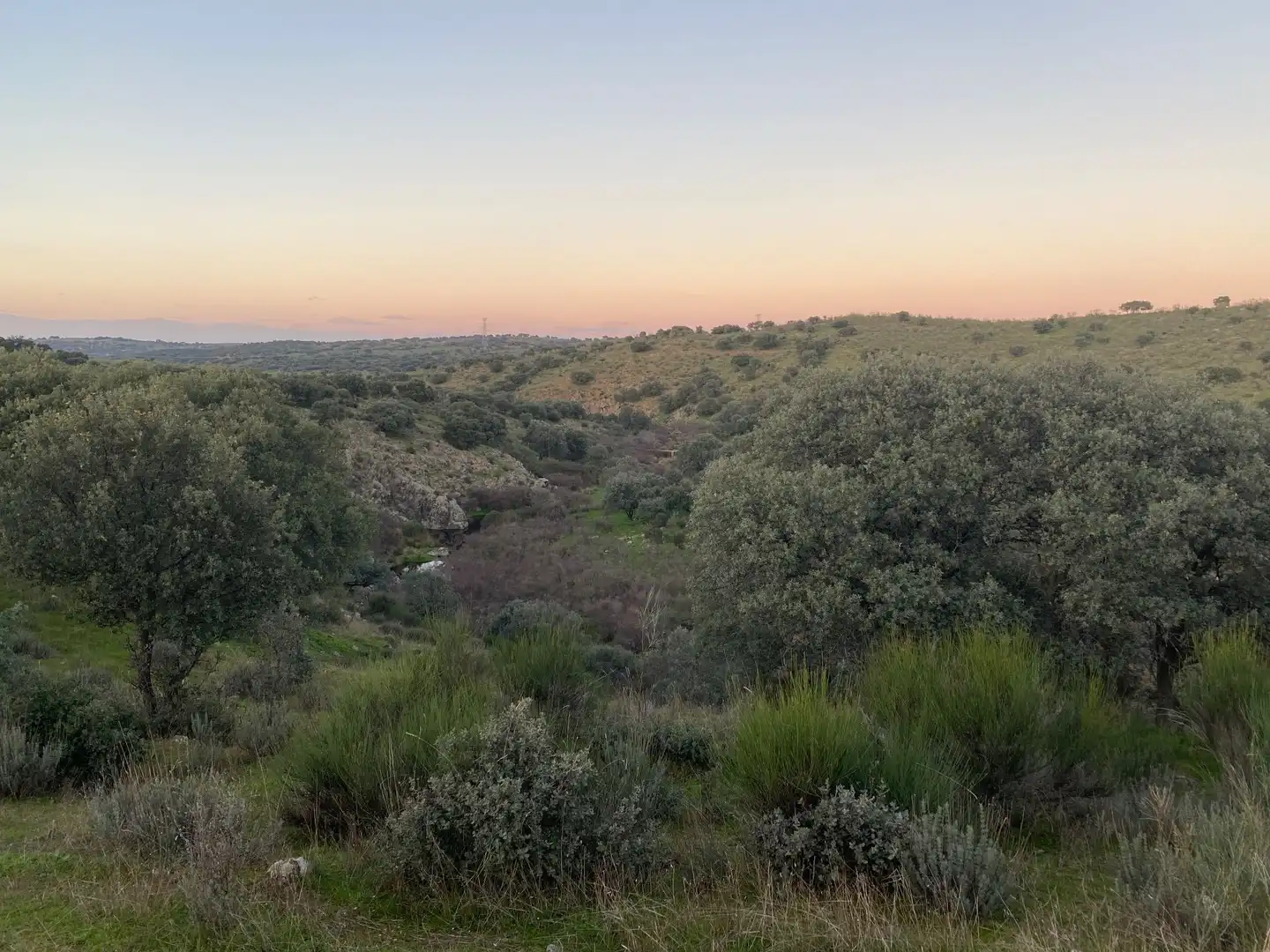 Terreni e lotti in vendita a Villar del Pedroso, imagen 24