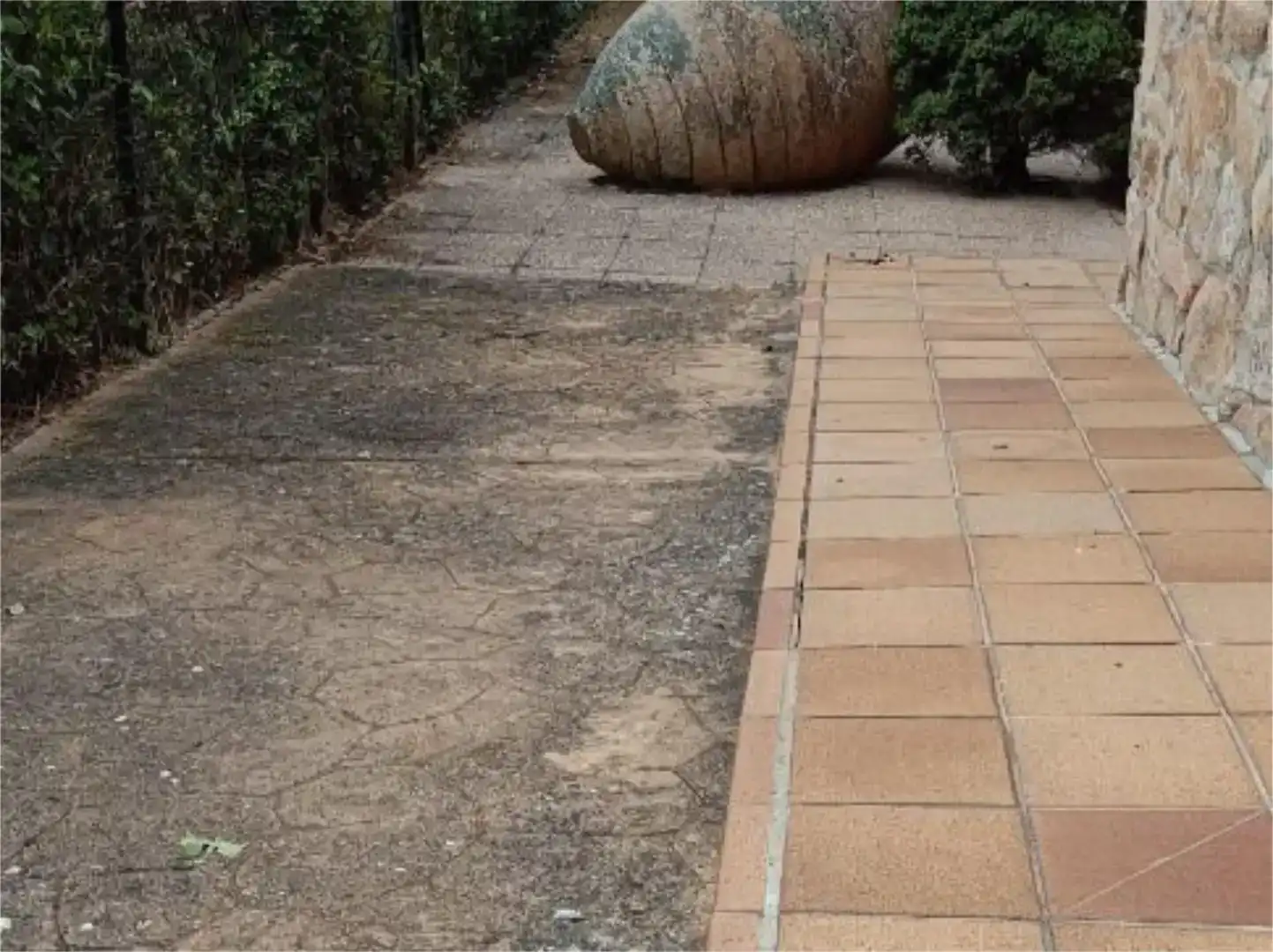 Jardí de Casa o xalet en venda en Colmenar Viejo amb Jardí privat