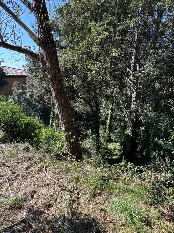 Grundstücke und Bauplätze zum Verkauf in De Lluis Millet, imagen 30