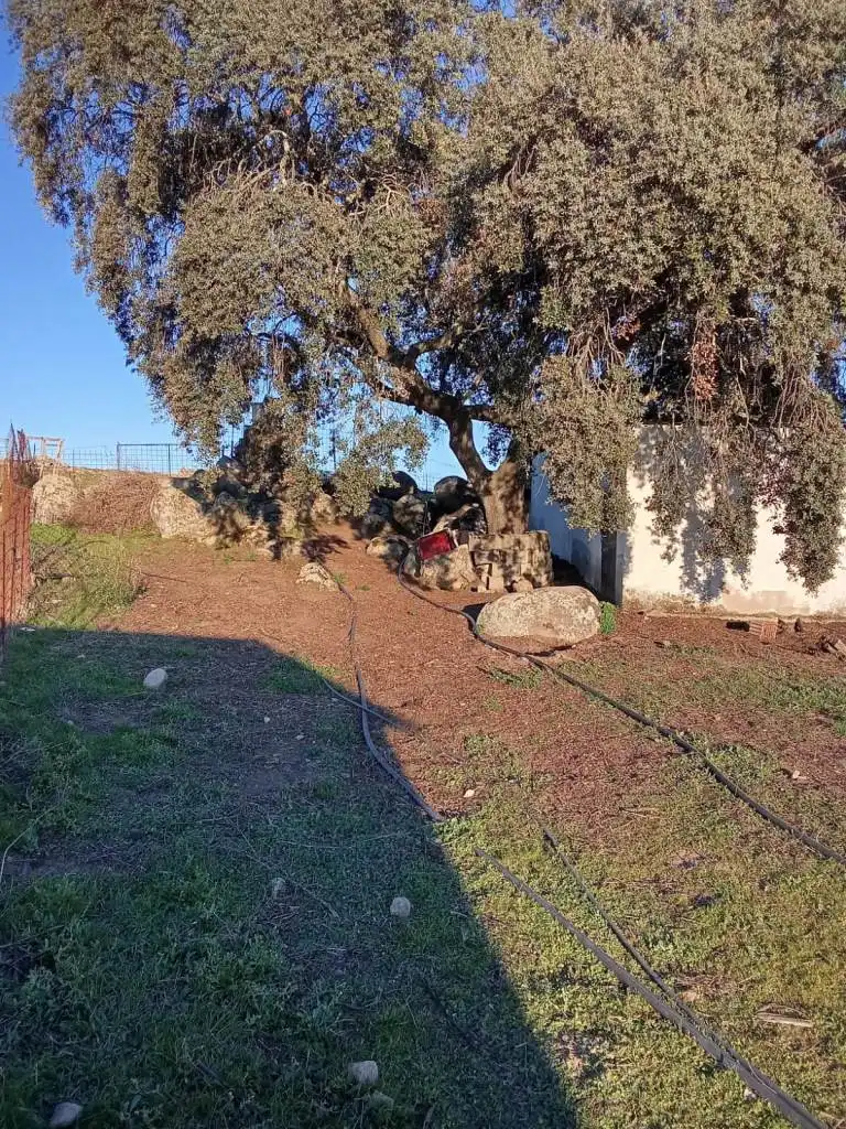 Terreni e lotti in vendita a Burguillos del Cerro, imagen 30