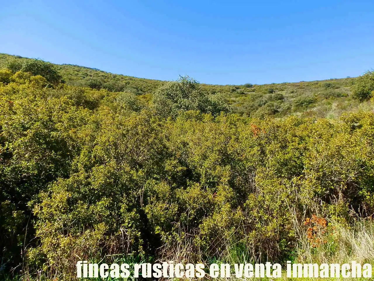Terreno rustico in vendita a Aldea del Rey, imagen 15