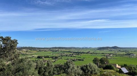 Foto 4 de Finca rústica de alquiler en Sineu, Illes Balears