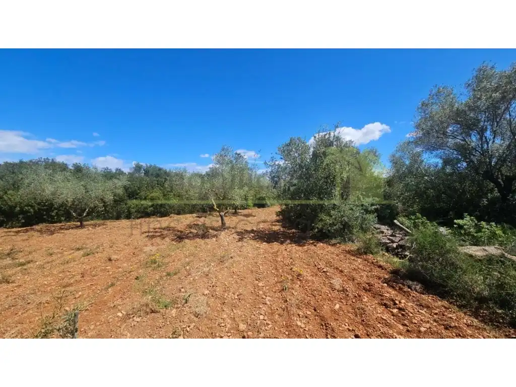 Terreny residencial en venda a Càlig, imagen 5