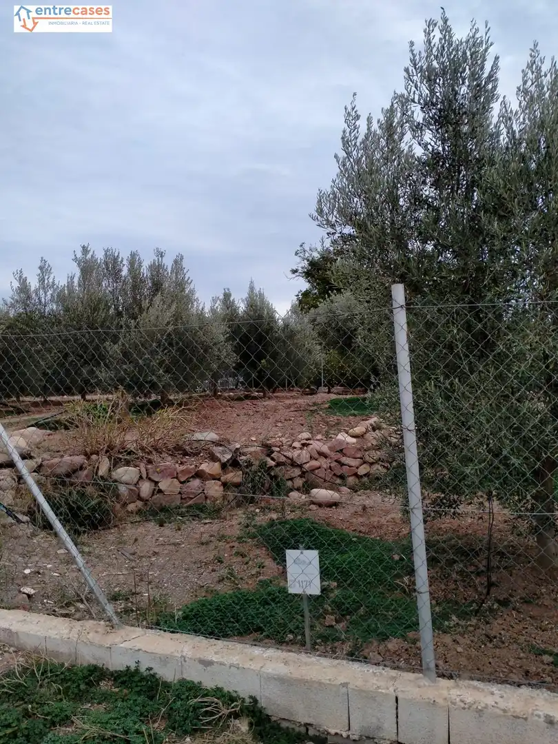 Rural land for sale in Petrés, imagen 20