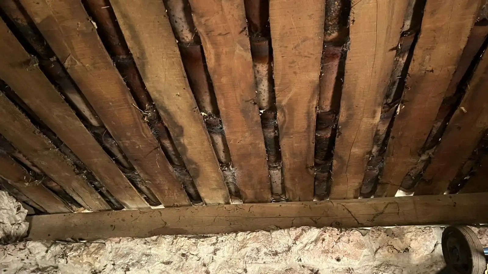 Terreno rustico in vendita a Cangas de Onís, imagen 45