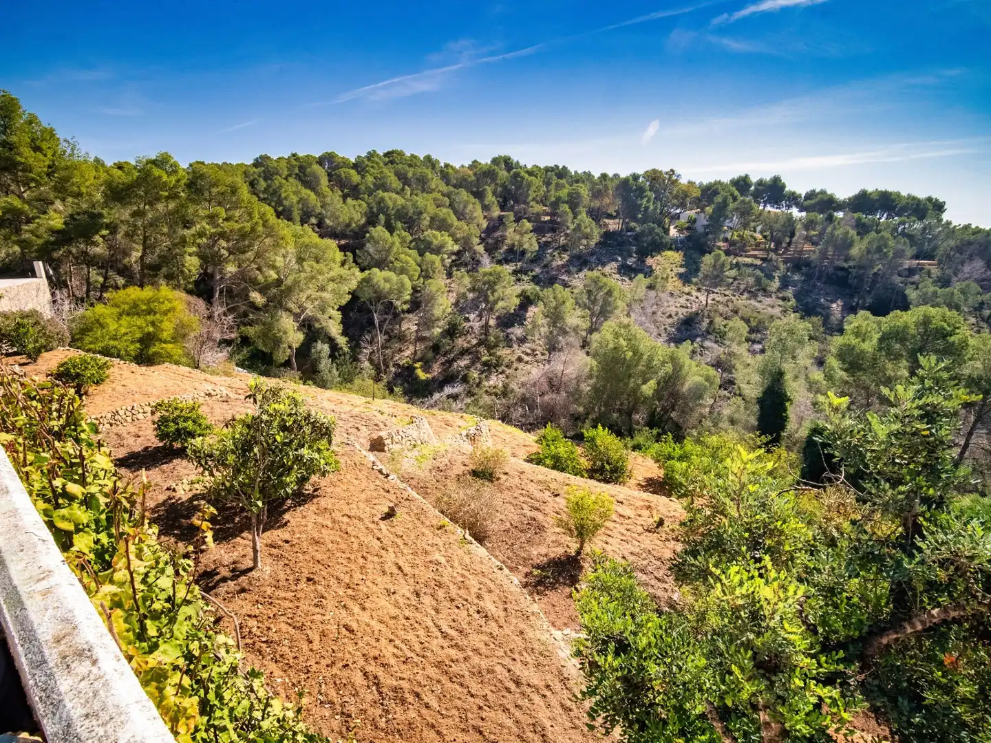 Casa con piscina en venta en Altea la Vella, imagen 15