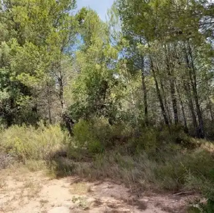 Rustikales Grundstück zum Verkauf in Partida La Mina, imagen 8