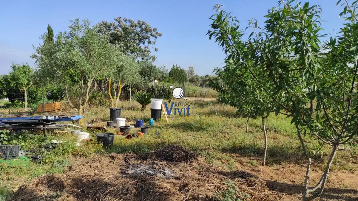 Terrenos y solares en venta en Pedanías Sur, imagen 8