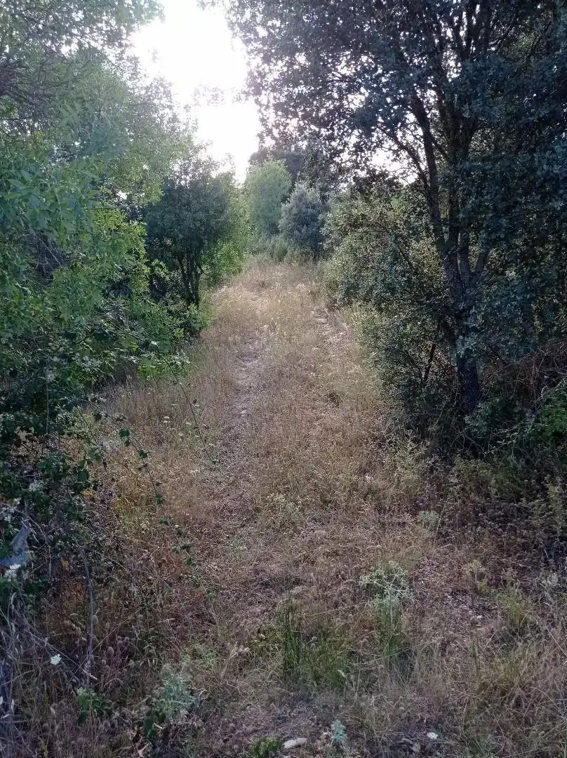Finca rústica en venda en Puentes Viejas