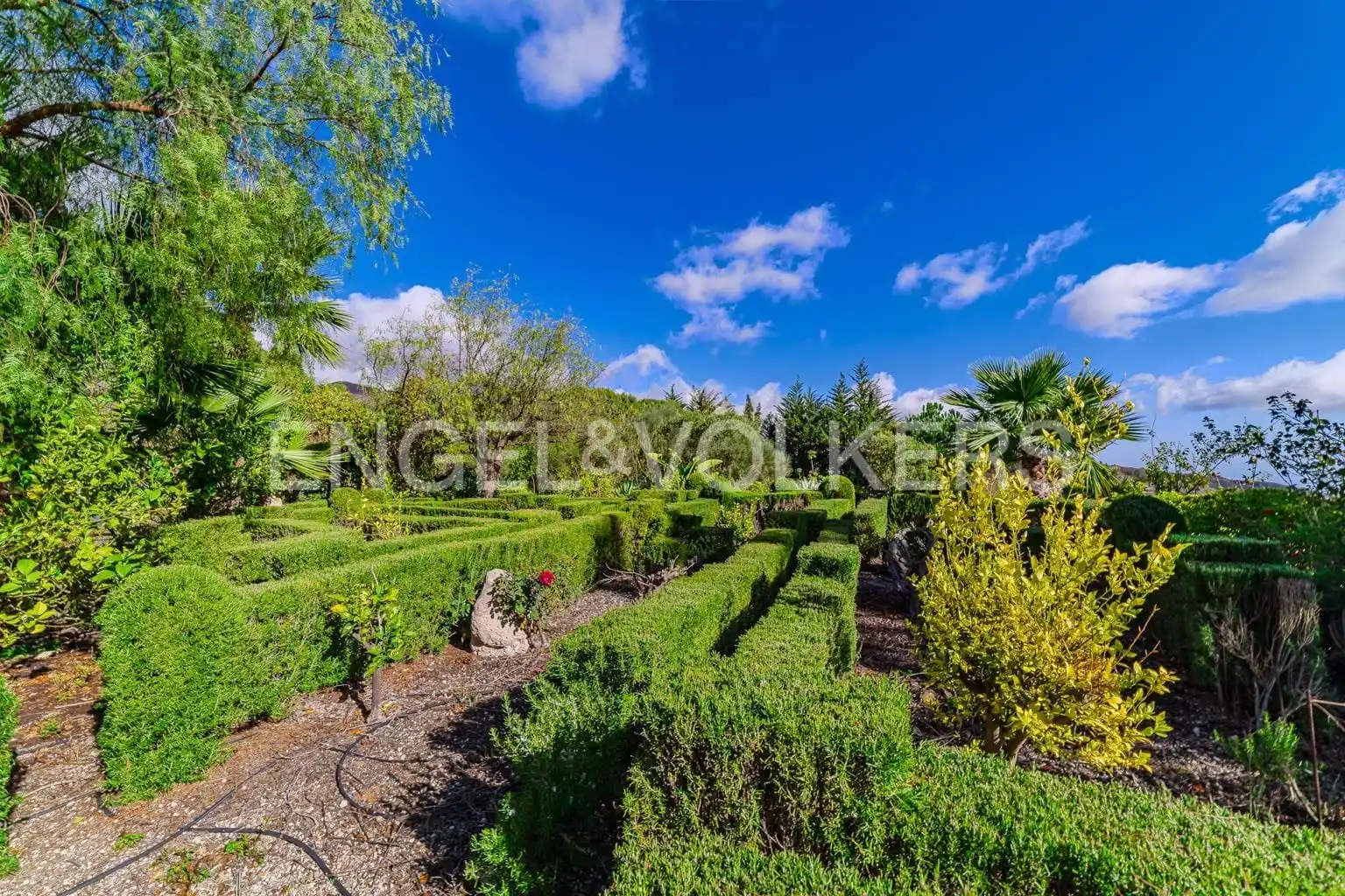 Garden of Houses for sale in Vilaflor de Chasna  with Terrace and Furnished