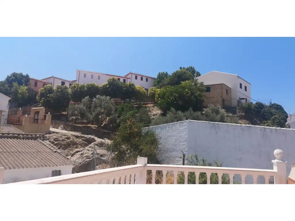 Vista exterior de Finca rústica en venta en Cañete la Real
