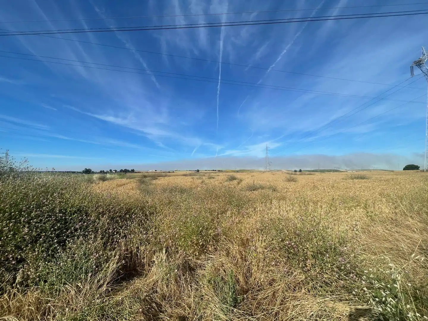 Land for sale in Huelva