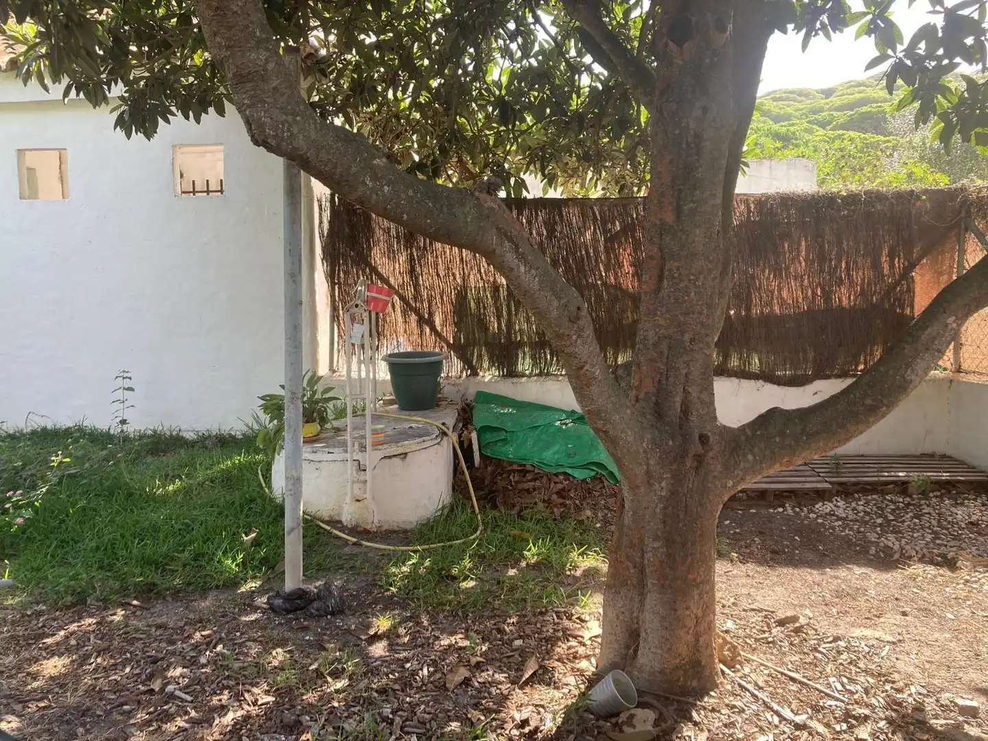 Casa rústica amb jardí en venda a Barbate ciudad, imagen 28