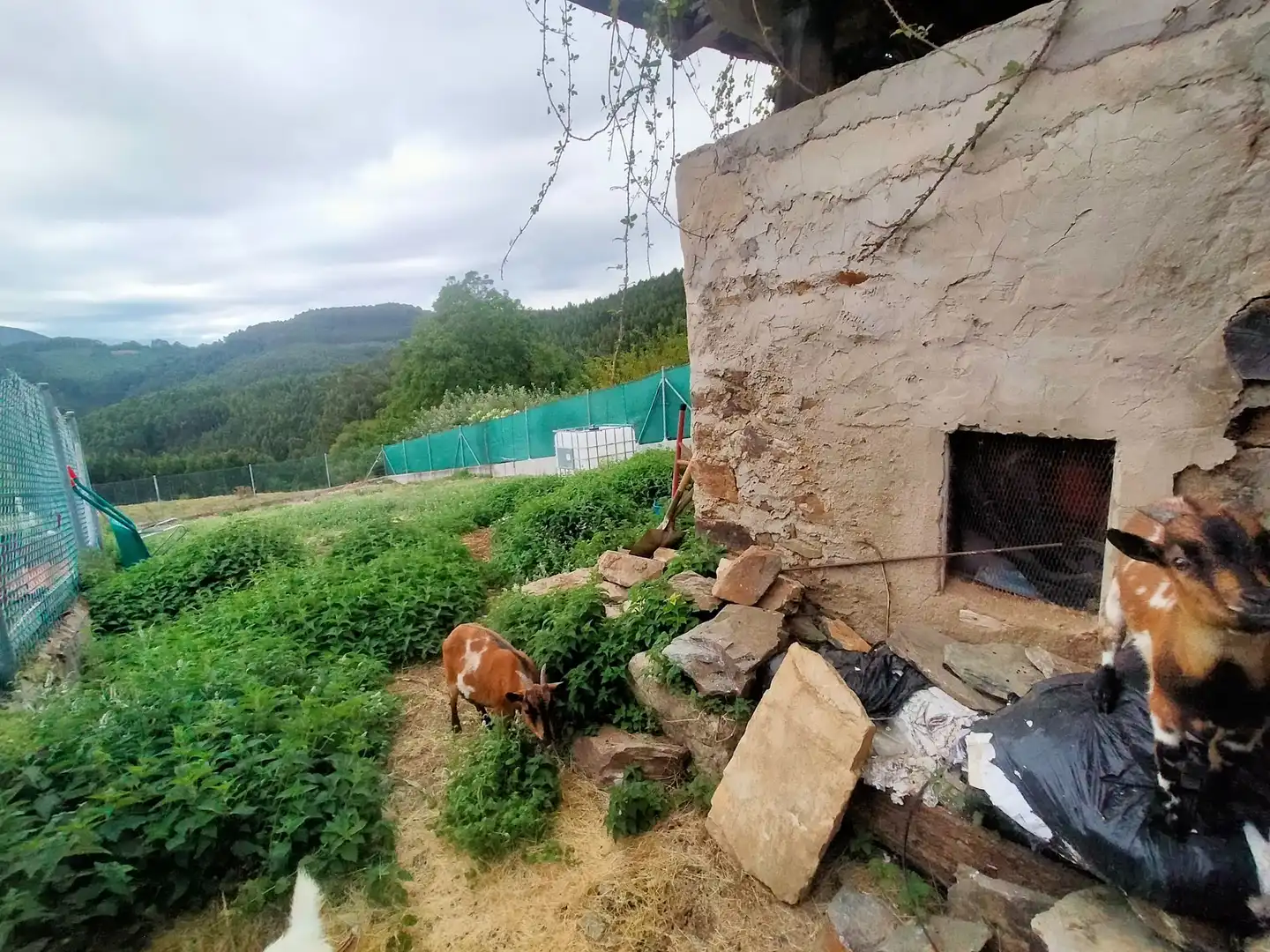Casa rustica con giardino in vendita a Pravia, imagen 48