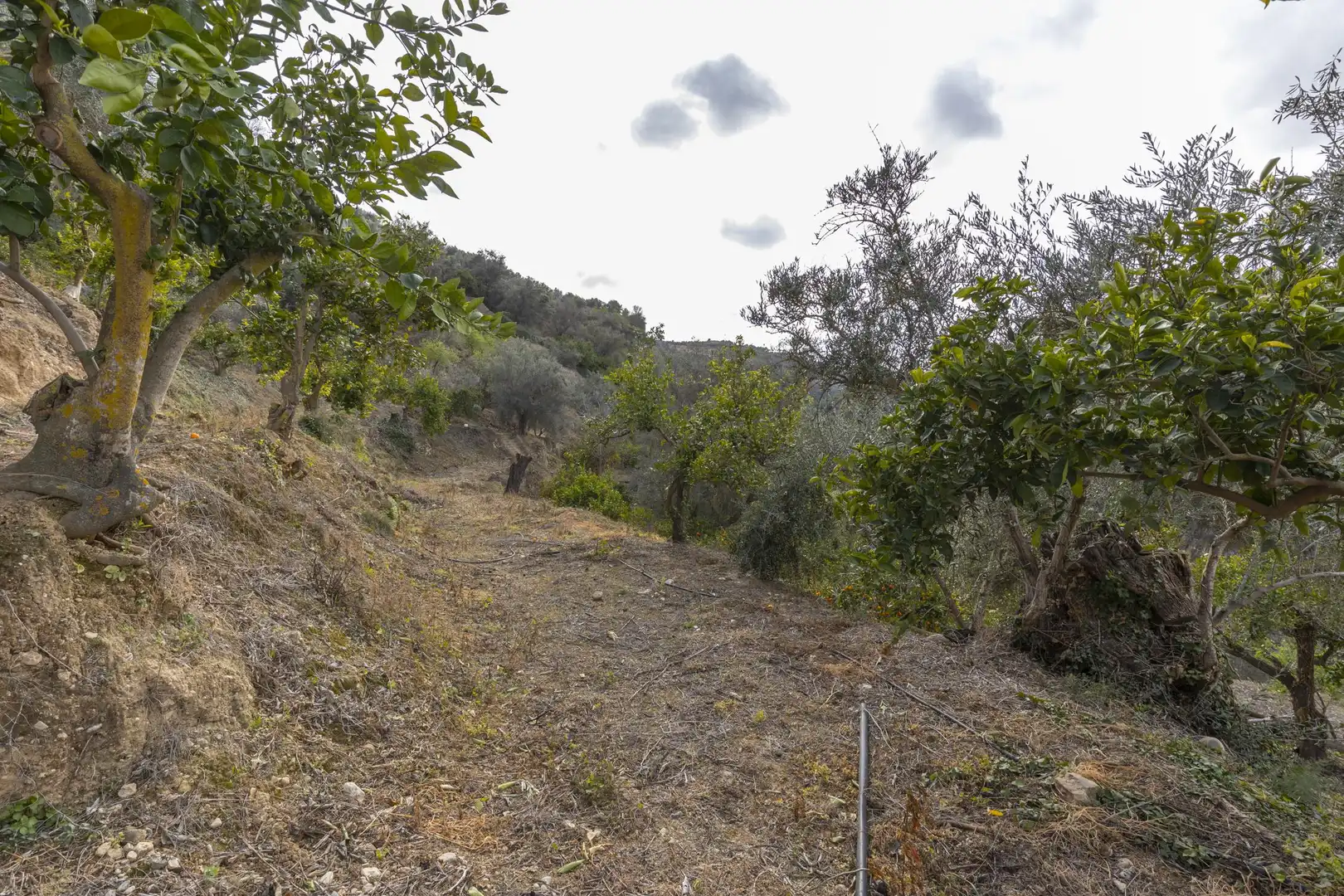 Finca rústica en venta en El Valle, Serón