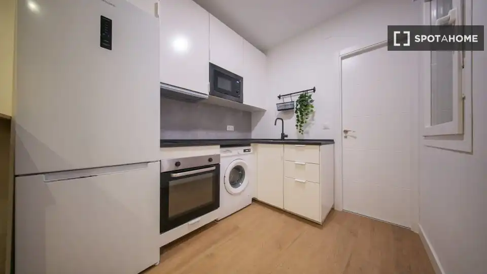 Piso en alquiler en Barrio de Salamanca