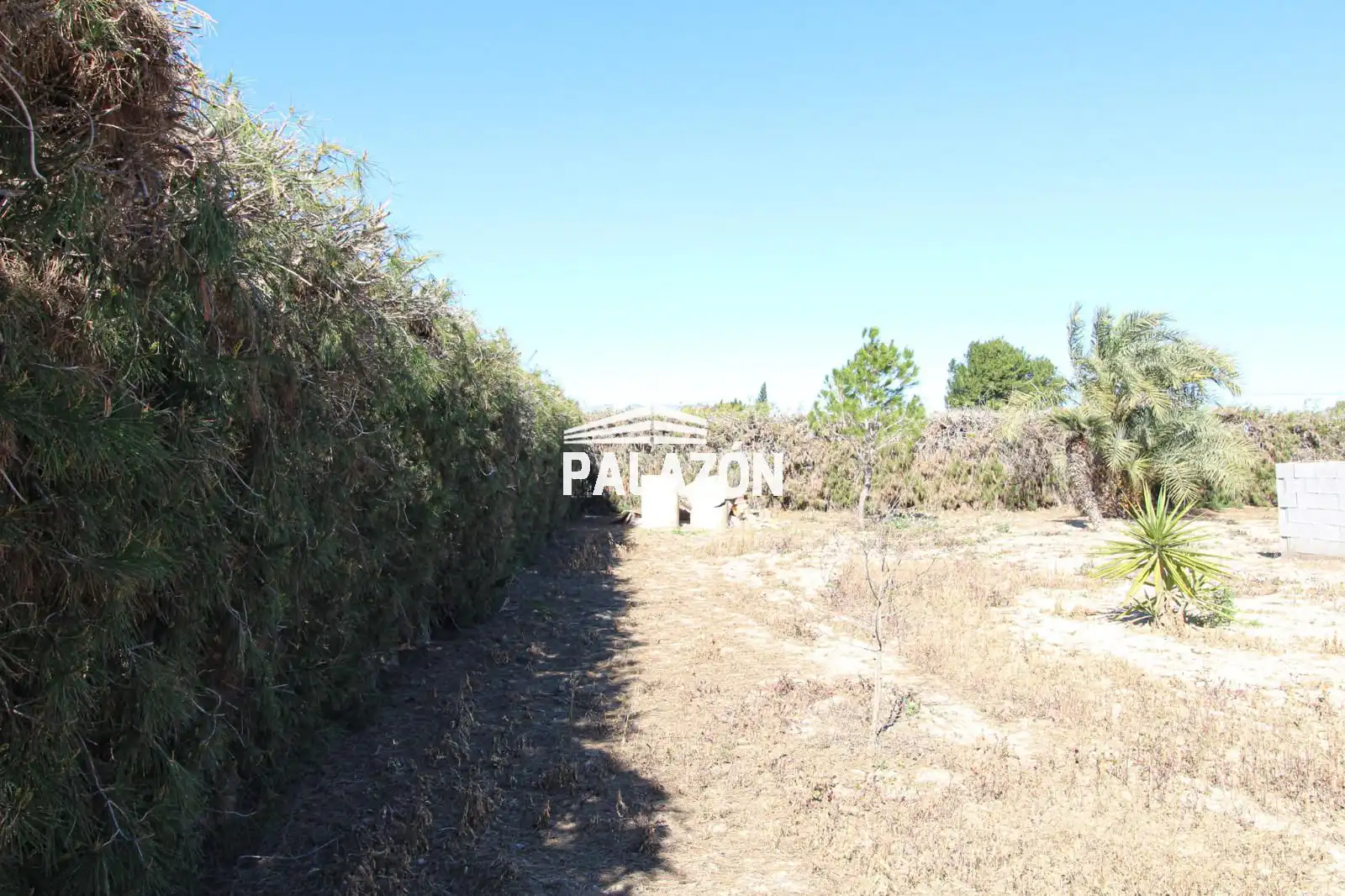 Chalet en venta en Dolores, imagen 34