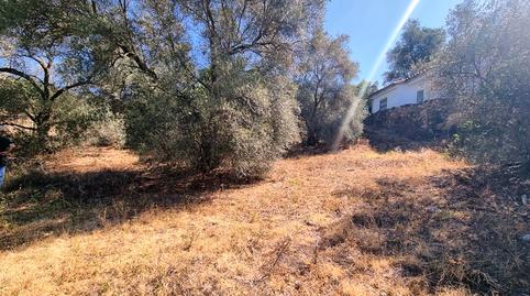 Photo 4 of Residential for sale in Lugar la Corte, 170, Santa Ana la Real, Huelva