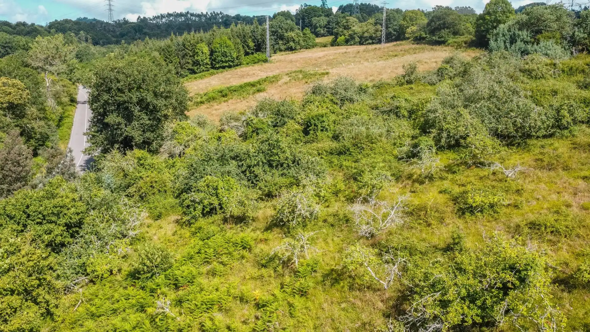 Rural land for sale in del pareo, imagen 7