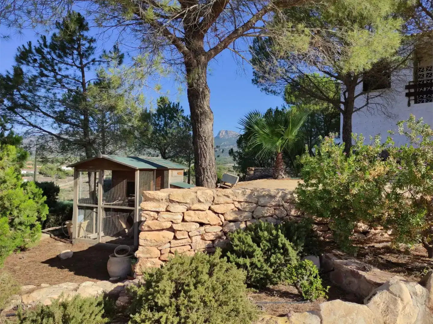 Jardí de Pis en venda en Aledo amb Piscina i Balcó