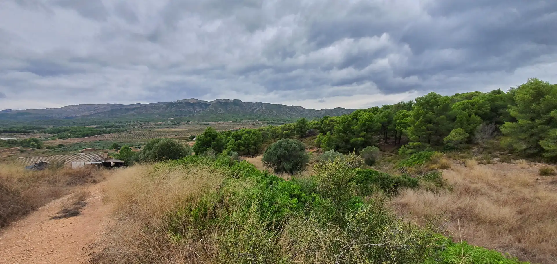 Rustikales Grundstück zum Verkauf in El Pinell de Brai, imagen 11