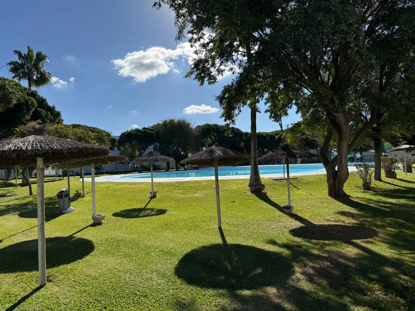 Swimming pool of Apartments for sale in Chiclana de la Frontera  with Terrace, Furnished and Community pool