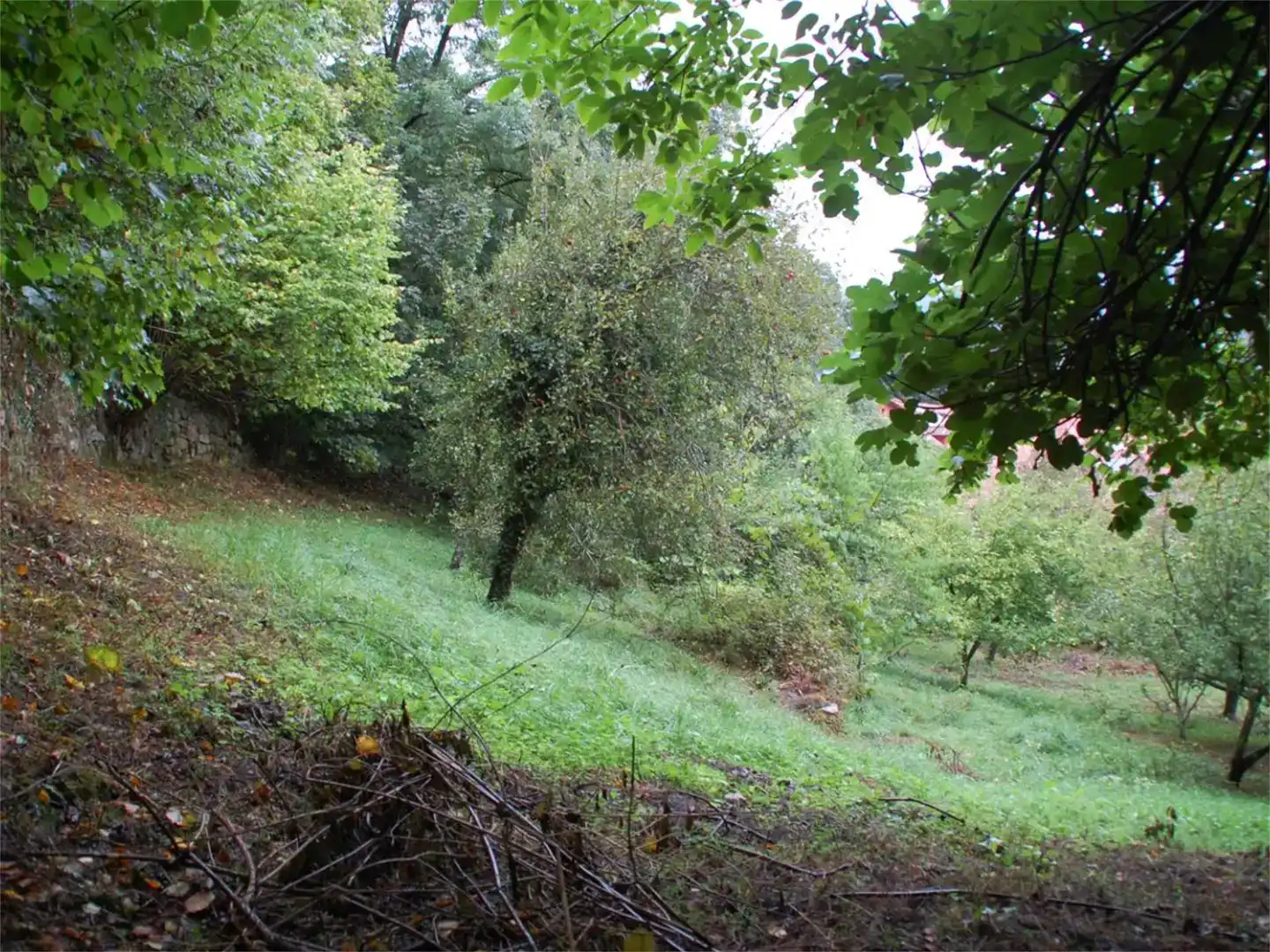Finca rústica en venda en Cabrales