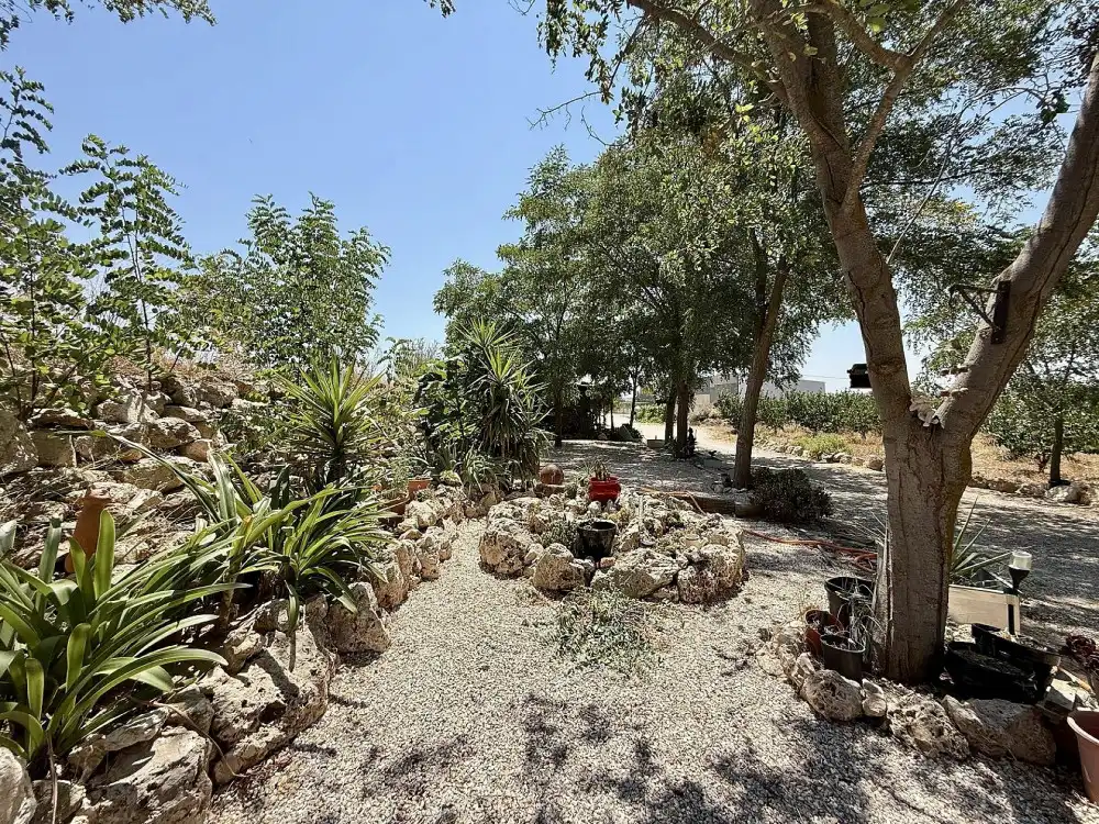 Jardín de Casa o chalet en venta en Villena con Aire acondicionado