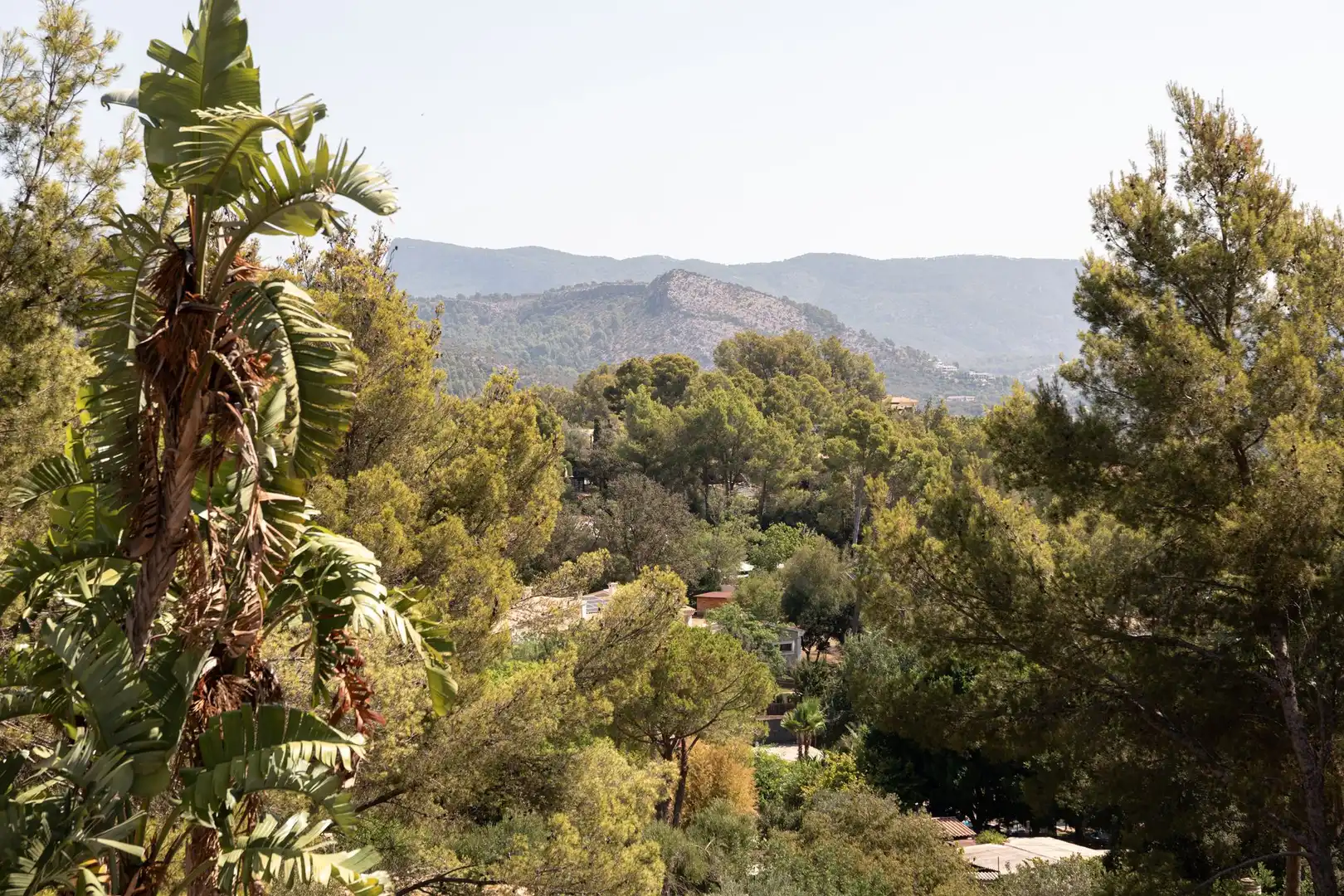 Villa à vendre à Esporles, imagen 44