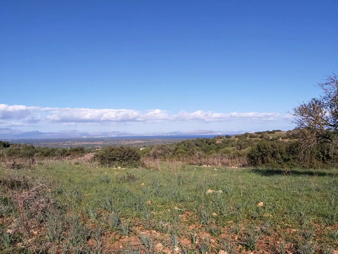 Wohnbaugrundstück zum Verkauf in Sant Llorenç des Cardassar, imagen 18