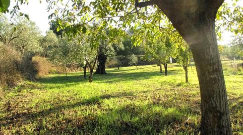 Photo 2 of House or chalet for sale in Solana, Penàguila, Alicante