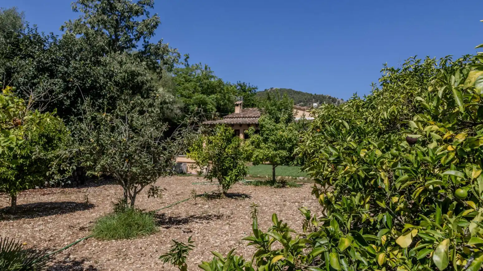 Jardí de Casa o xalet en venda en Pollença amb Aire condicionat, Terrassa i Traster