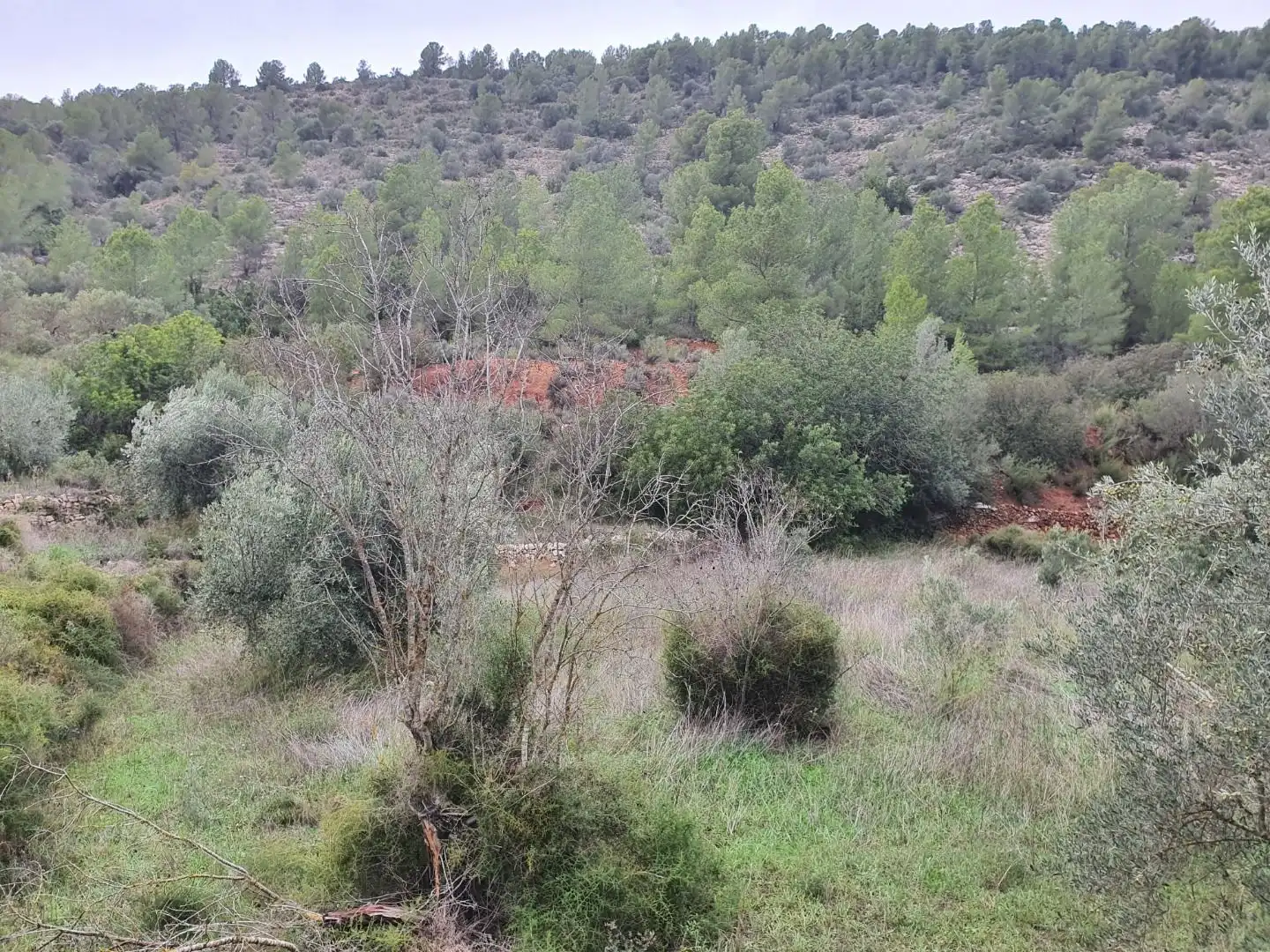 Maison à vendre à Benifallet, imagen 17