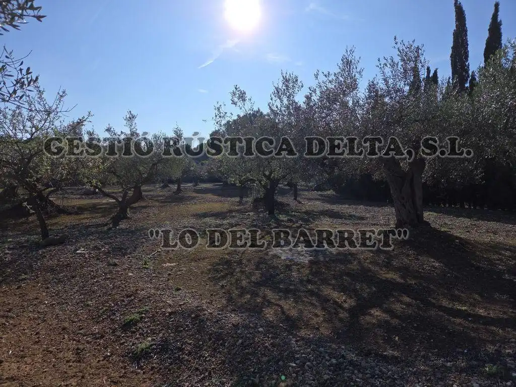 Finca rústica en venda en L'Ampolla amb Terrassa