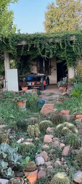 Terreno rustico in vendita a Este, imagen 10