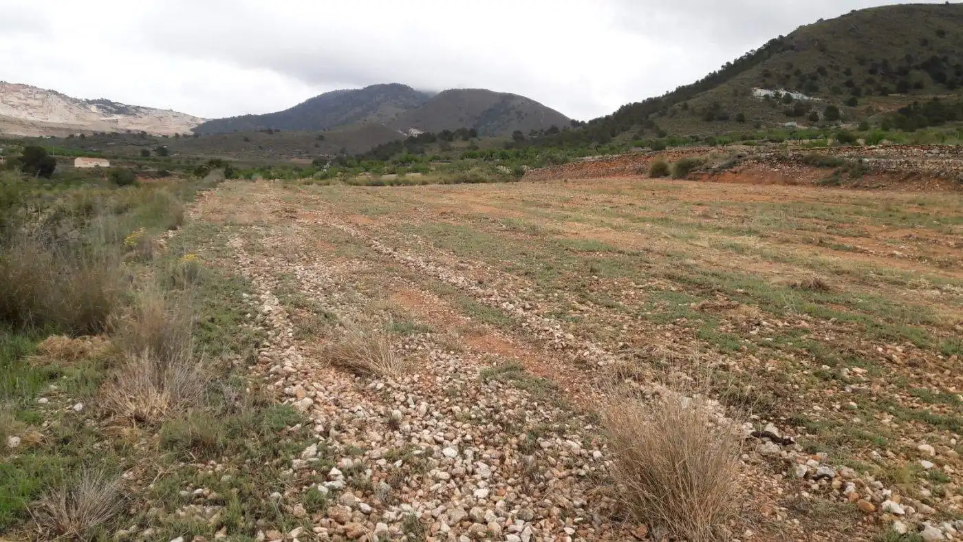 Casa o chalet en venta en Algueña