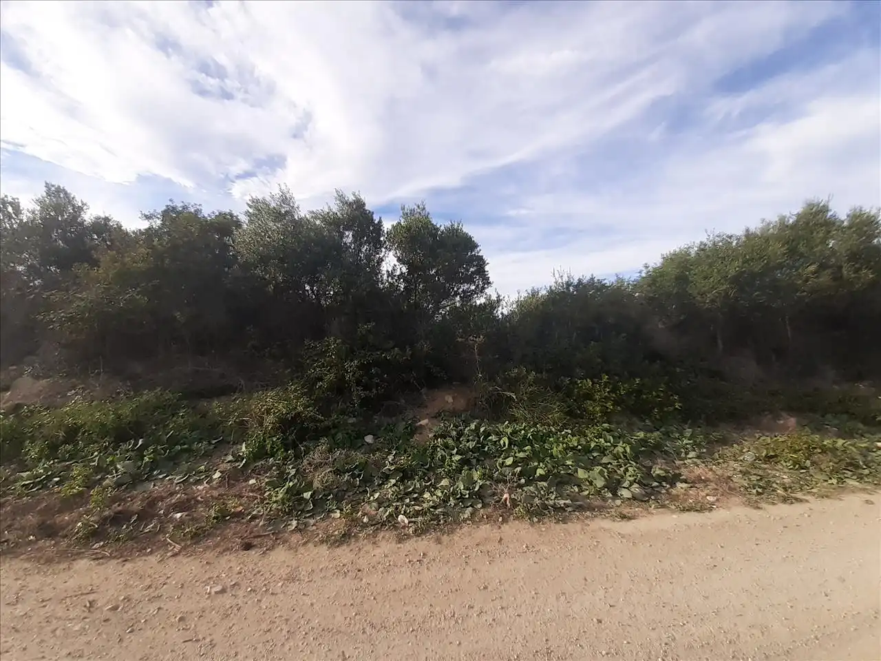 Terreny residencial en venda a PARTIDA LES CLOTES. Sector 46 Pol. 11 Parcela, imagen 11