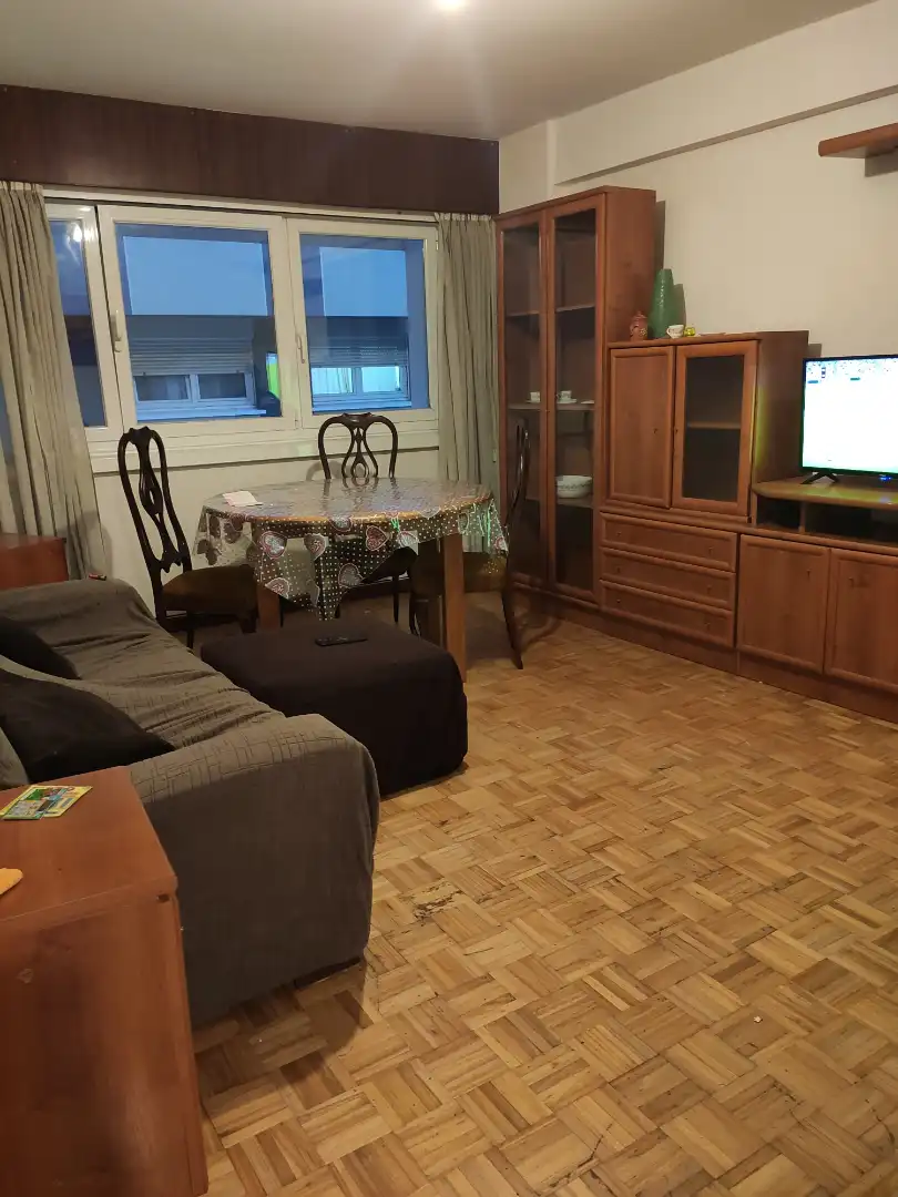 Sala d'estar de Pis de lloguer en A Coruña Capital  amb Parquet, Moblat i Microones