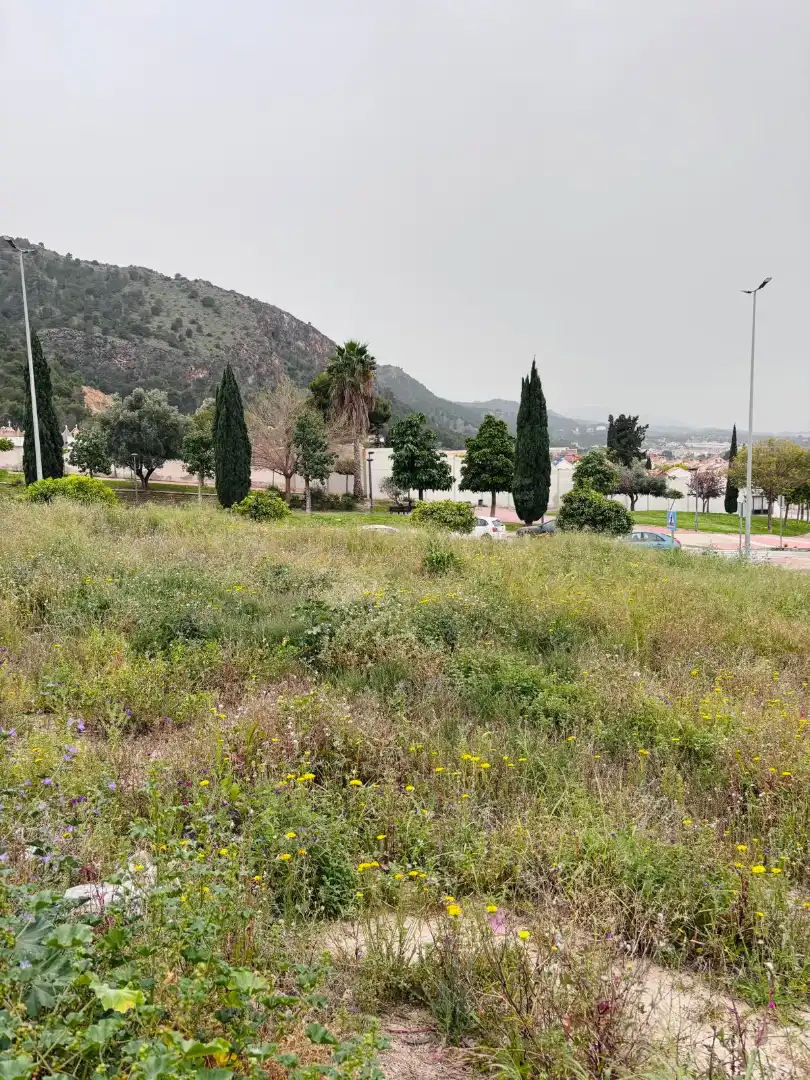 Terreny residencial en venda a Pedanías Este, imagen 2