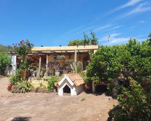 Jardí de Casa o xalet en venda en El Rosario amb Aire condicionat i Terrassa