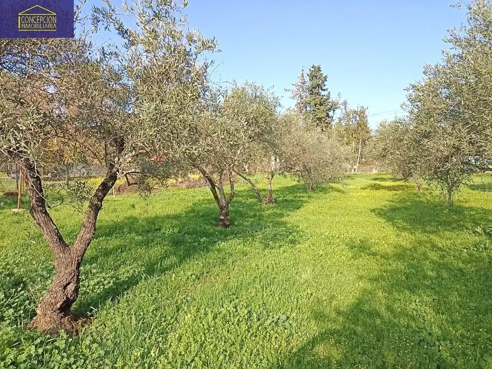 Villa avec piscine à vendre à Periurbano Este - Campiña, imagen 21