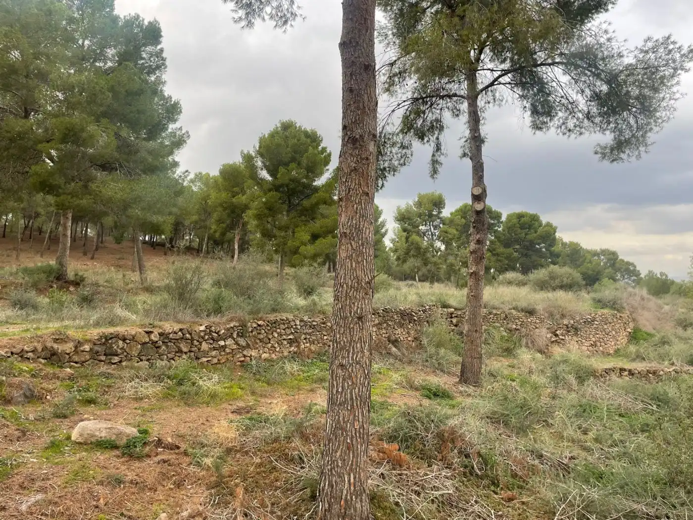 Terreno residenziale in vendita a Pedanías Este, imagen 13